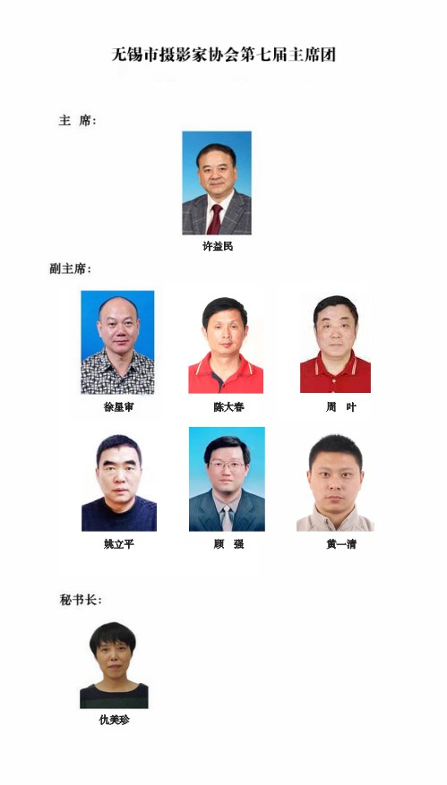 市摄协组织架构